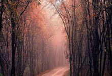 全国排名前十配资公司:股票软件交流论坛-热点事件不断！宇树机器人概念爆火